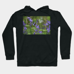 Bluebell up close Hoodie